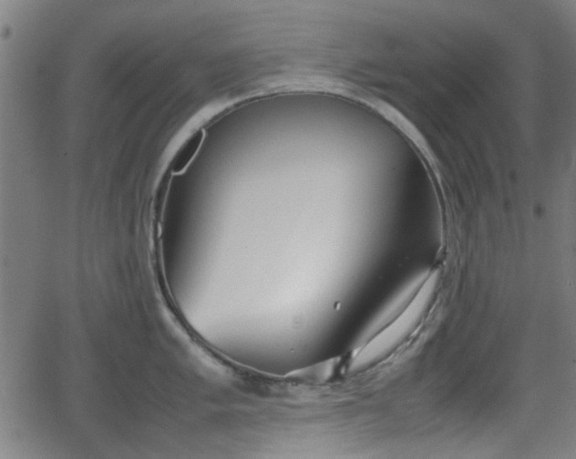 X0000062131005200512161147