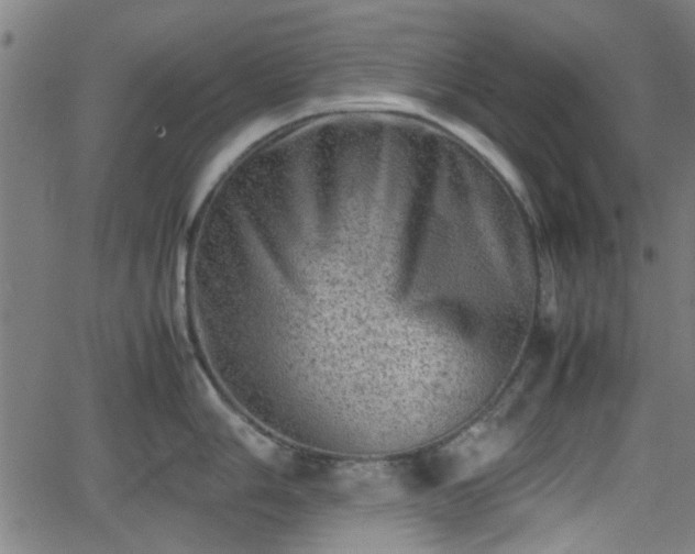 X0000062131006200512161147