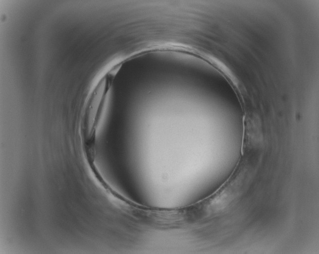 X0000062131007200512161147