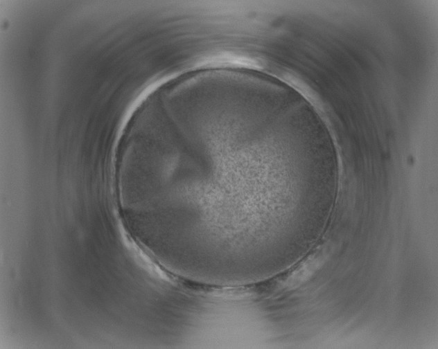 X0000062131008200512161147