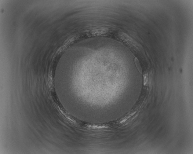 X0000062131011200512161146