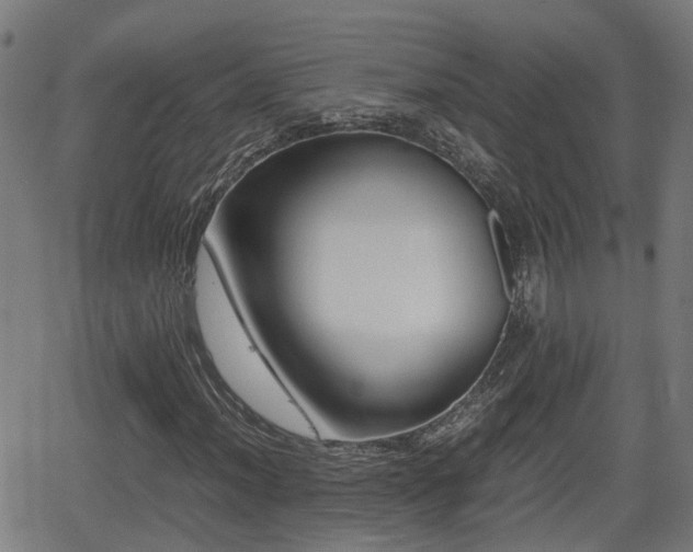 X0000062131012200512161146