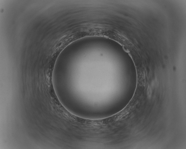 X0000062131013200512161146