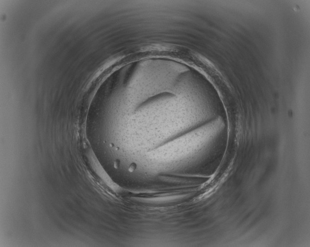 X0000062131017200512161146