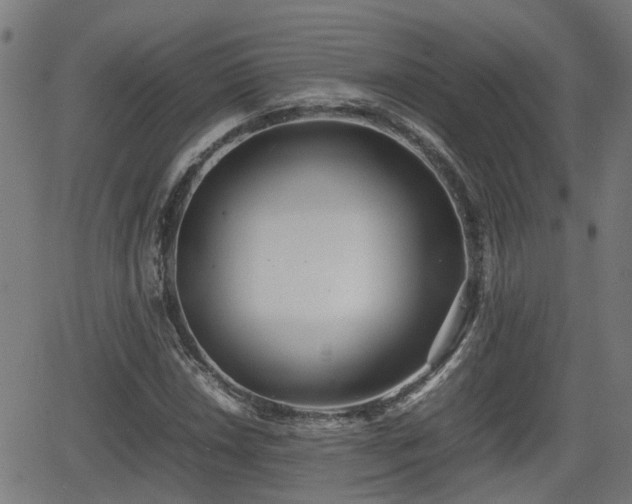 X0000062131018200512161146