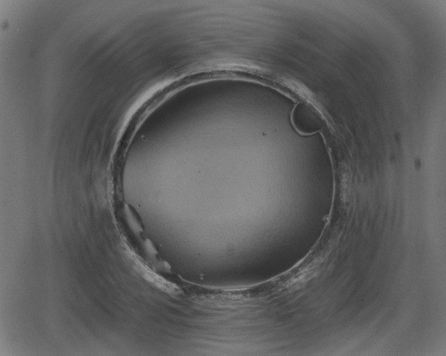 X0000062131024200512161146