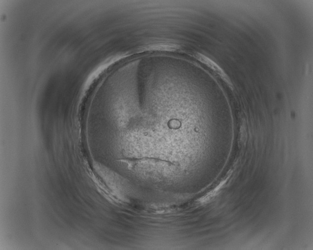 X0000062131027200512161146