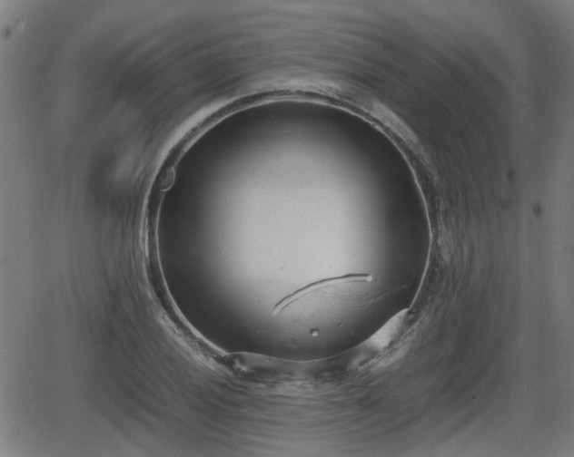 X0000062131028200512161146