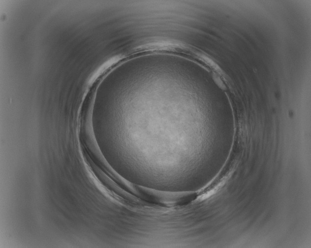 X0000062131034200512161146