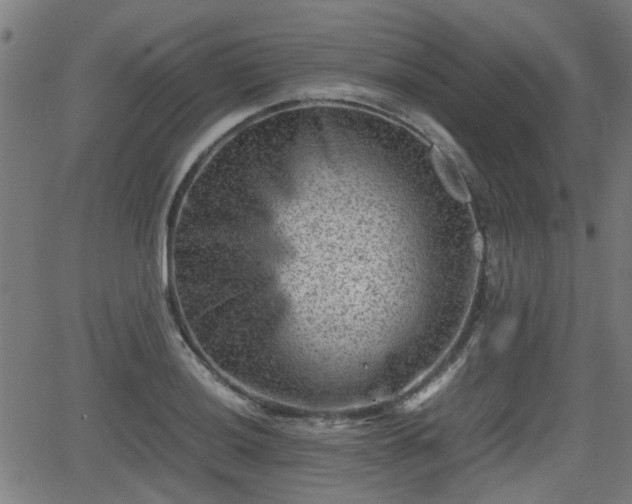 X0000062131036200512161146