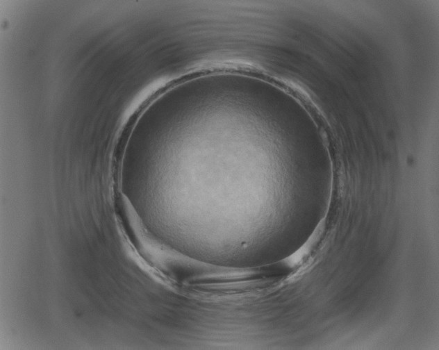 X0000062131038200512161146