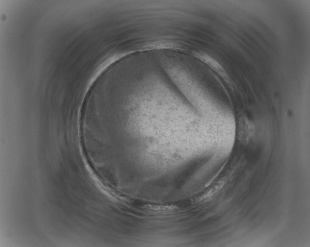 X0000062131039200512161146