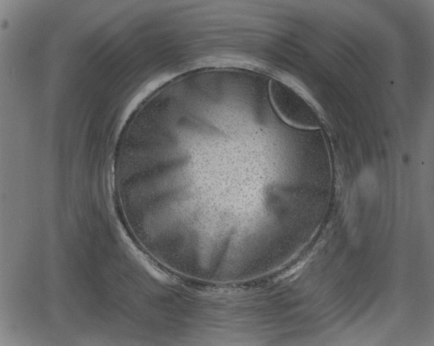 X0000062131040200512161146