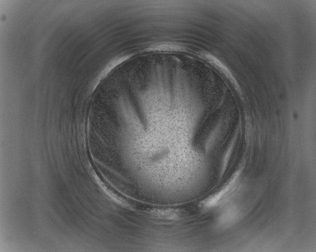 X0000062131041200512161146