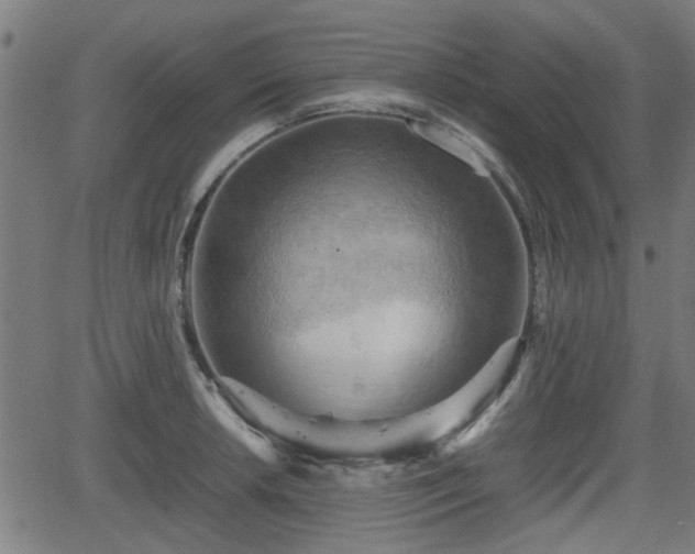 X0000062131042200512161146