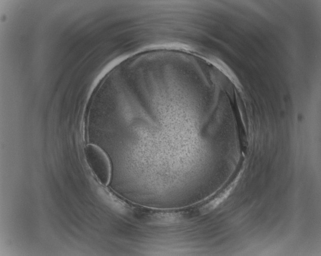 X0000062131044200512161147