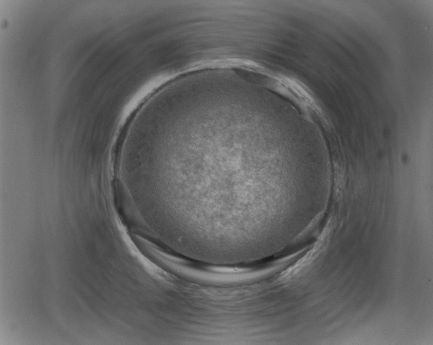 X0000062131046200512161147