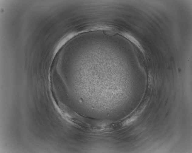 X0000062131047200512161147