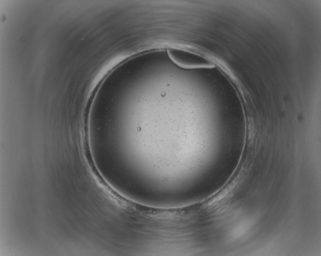 X0000062131048200512161147