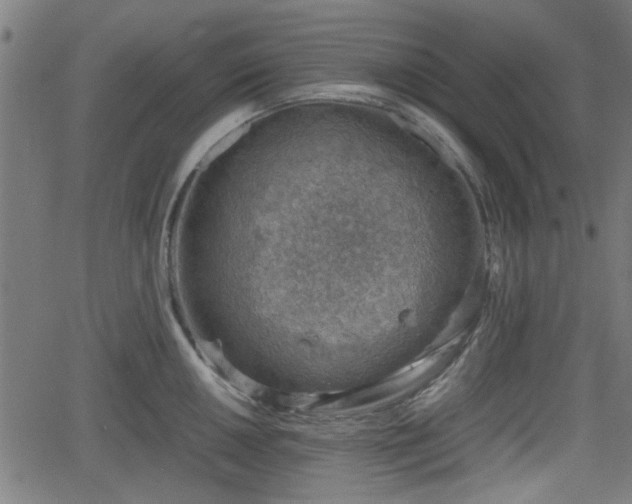 X0000062131050200512161147