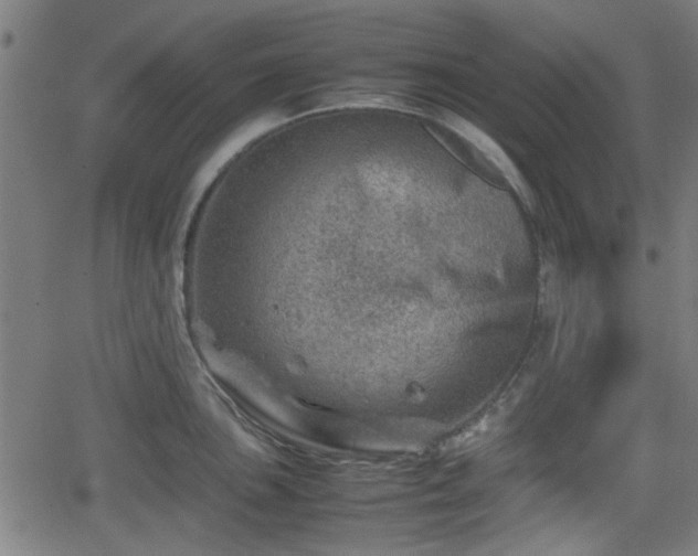 X0000062131051200512161147