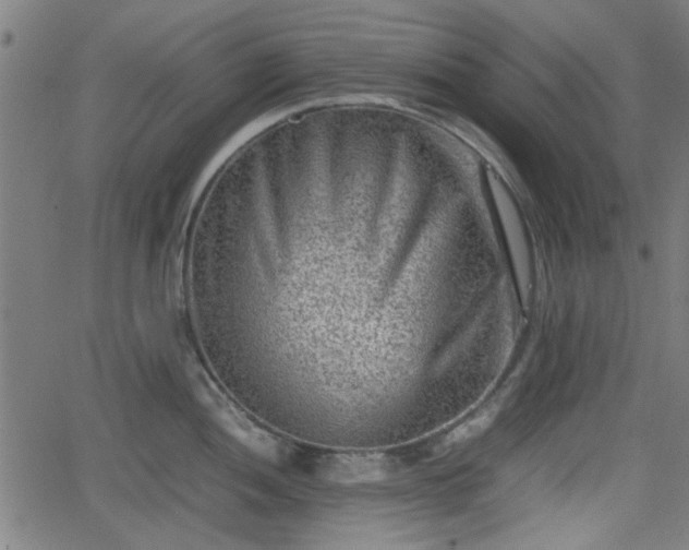 X0000062131052200512161147