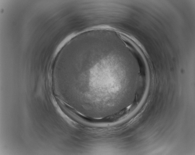 X0000062131054200512161147