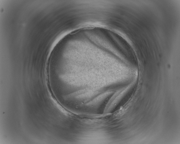 X0000062131056200512161147