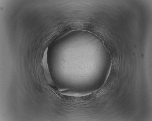 X0000062131057200512161146