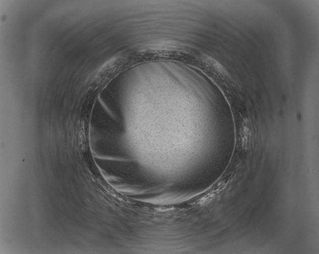 X0000062131062200512161146