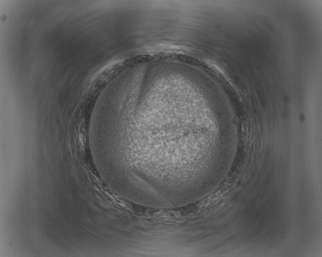 X0000062131063200512161146