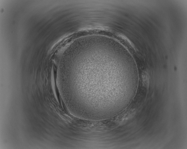 X0000062131064200512161146