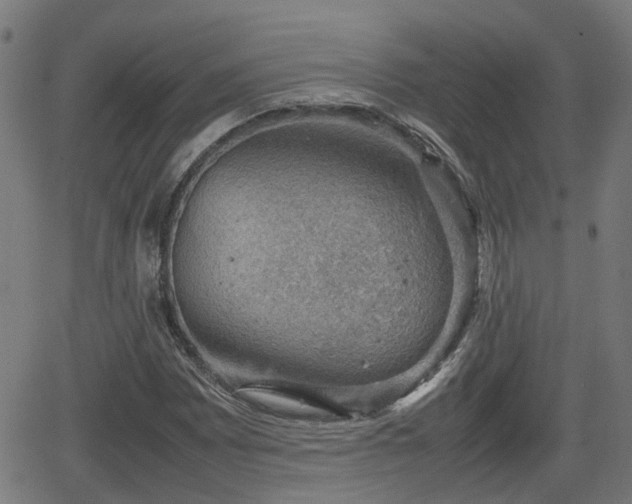 X0000062131065200512161146