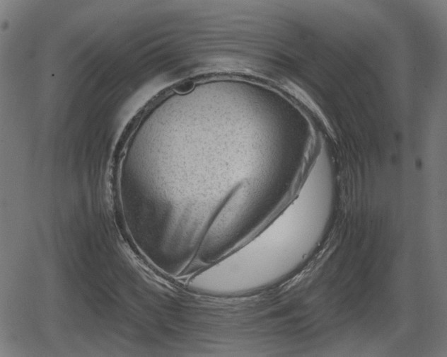 X0000062131068200512161146