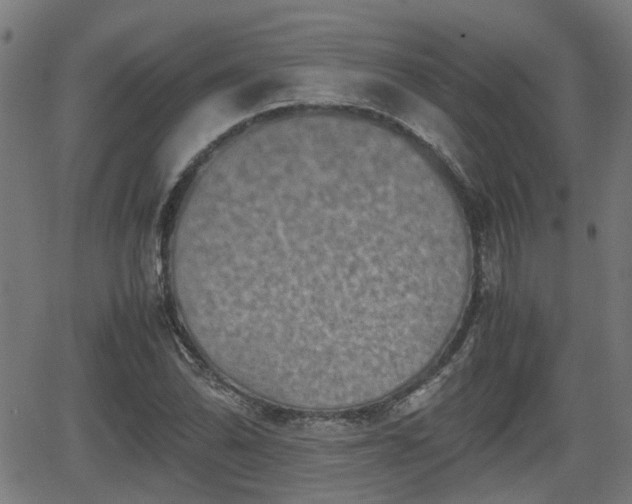 X0000062131070200512161146