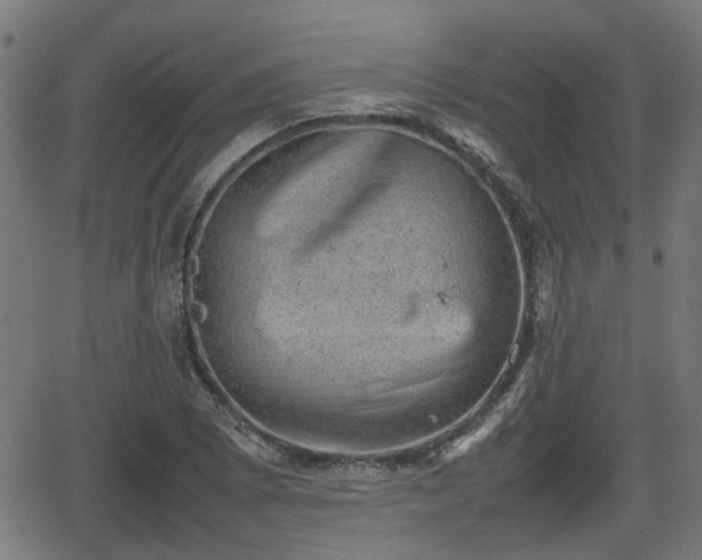 X0000062131073200512161146