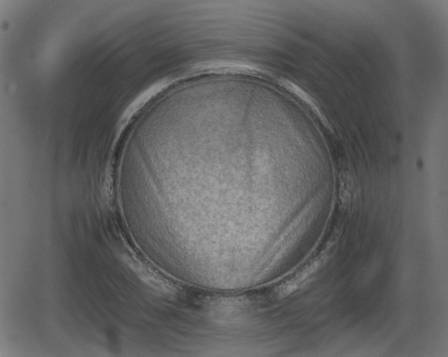 X0000062131074200512161146