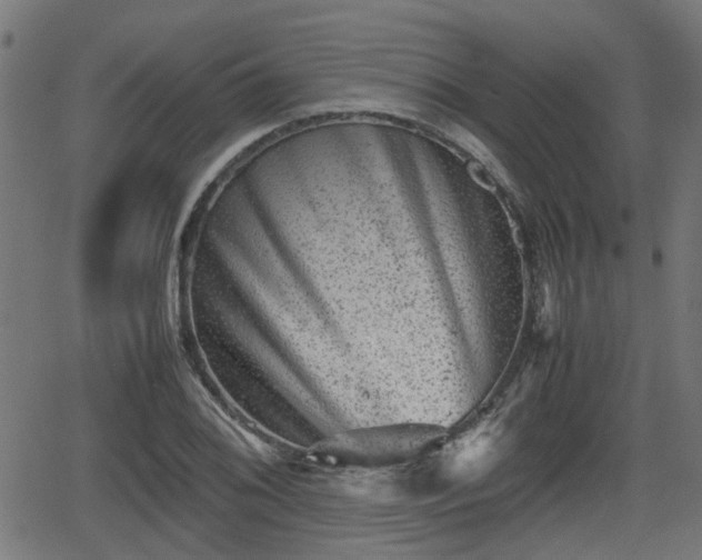 X0000062131076200512161146