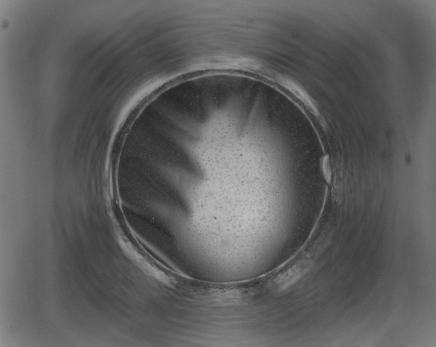 X0000062131080200512161146