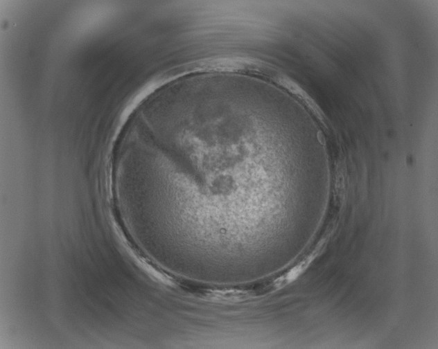 X0000062131083200512161145