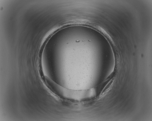 X0000062131085200512161145