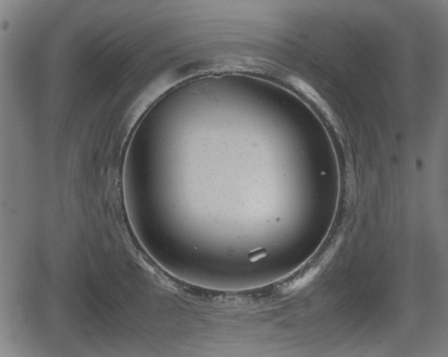 X0000062131089200512161145