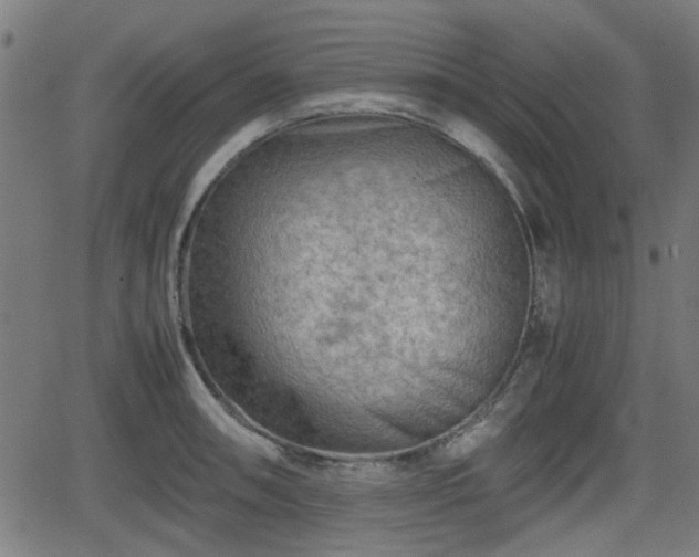 X0000062131090200512161145