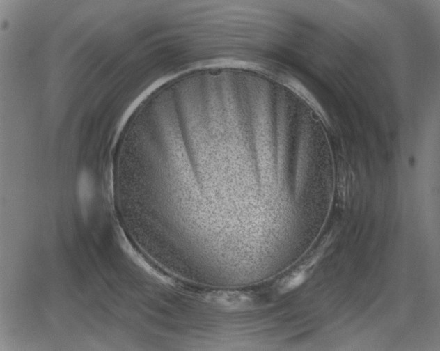 X0000062131092200512161145