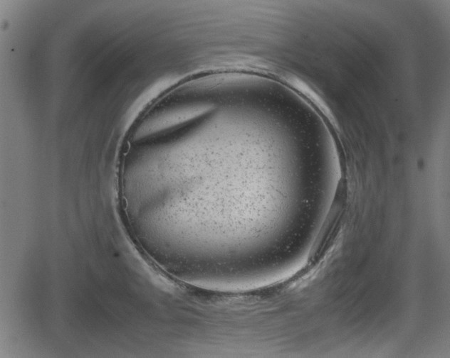 X0000062131093200512161145