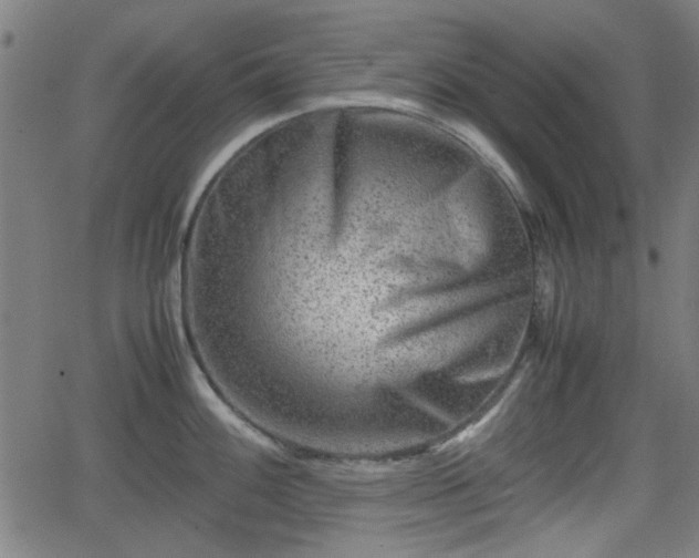 X0000062131100200512161145