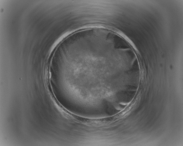 X0000062131101200512161145