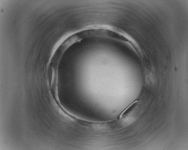 X0000062131102200512161145