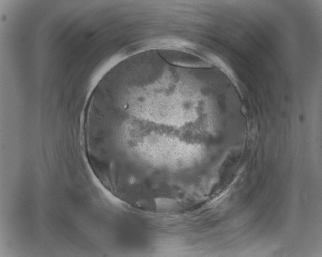 X0000062131103200512161145