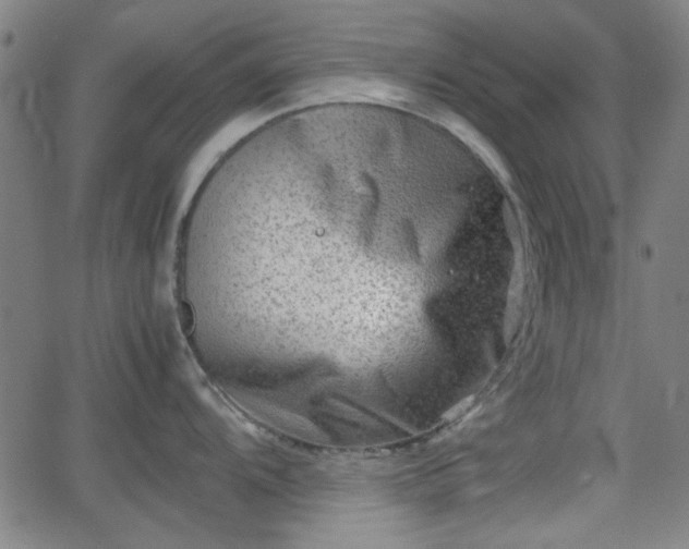 X0000062131104200512161145